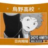 haikyuu shoyo hinata karasuno high school mhammed el garni transparent - Anime Tapestry UK Store